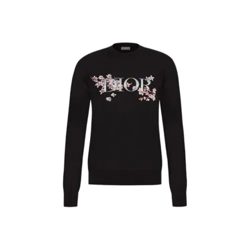 DIOR Черный Унисекс Свитеры