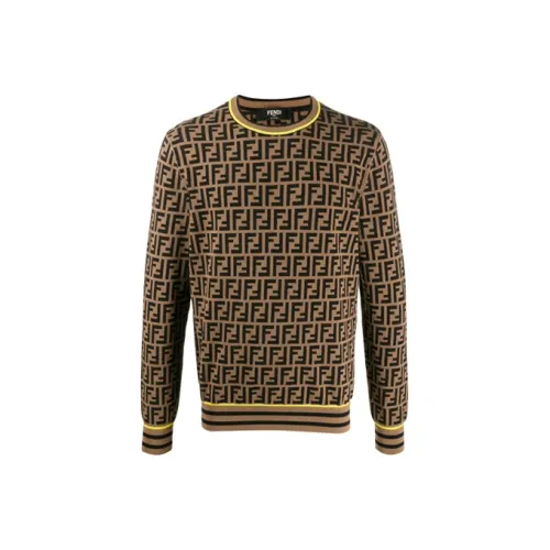 Fendi Коричневые Мужские Свитера
