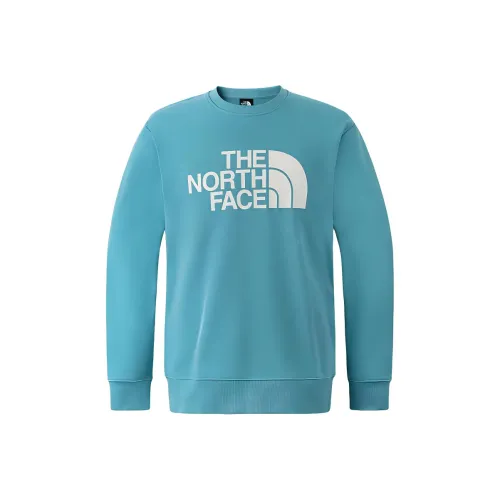 THE NORTH FACE Urban Exploration AW24 Свитшот Мужской Синий