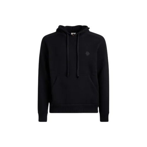 BALLY Adrien Brody Travel Collection FW24 Толстовка Мужской Морской Синий