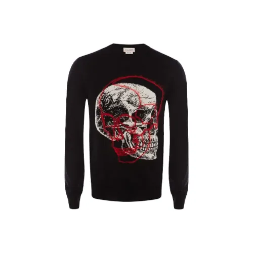 Alexander McQueen Черные Мужские Свитера