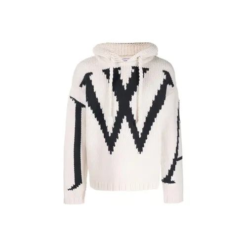 JW Anderson Белые Мужские Свитера