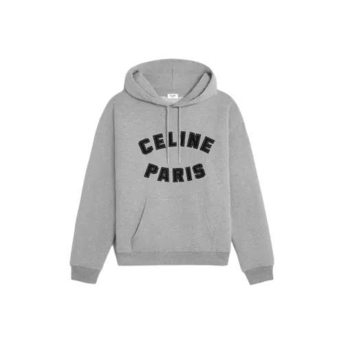 CELINE FW24 Свитшот Мужской Серый
