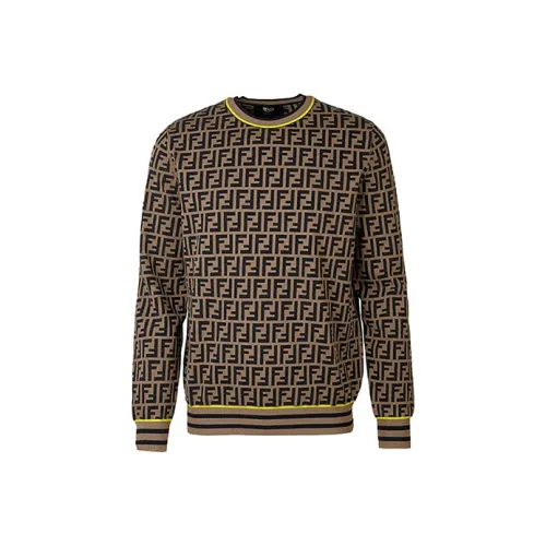 Fendi Коричневые Мужские Свитера