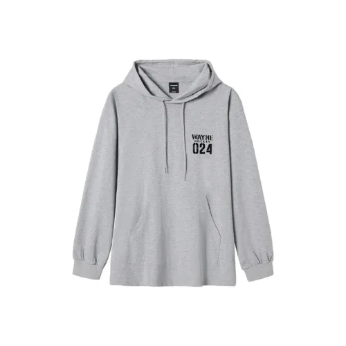 WAYNEXZAVIER Серый Мужской Свитшот