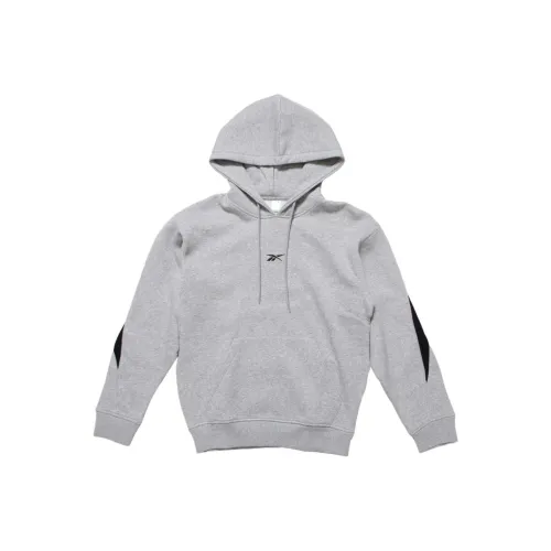 Reebok Big Vecto CL BV Толстовка Мужская Серого цвета