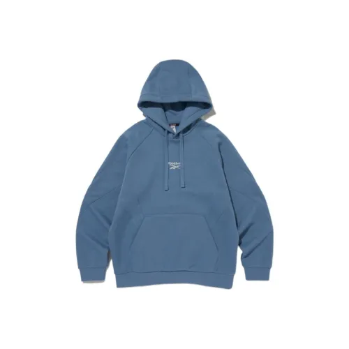 Reebok Синий Унисекс Свитшоты