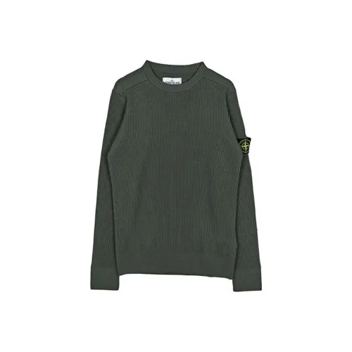 STONE ISLAND Толстовка Мужская Шалфейно-Зеленая