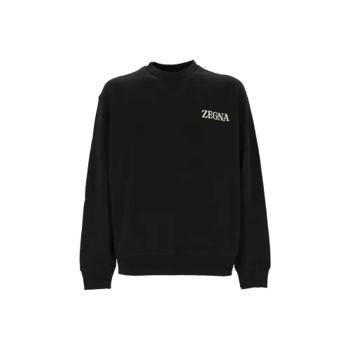 Ermenegildo Zegna Черные Мужские Толстовки