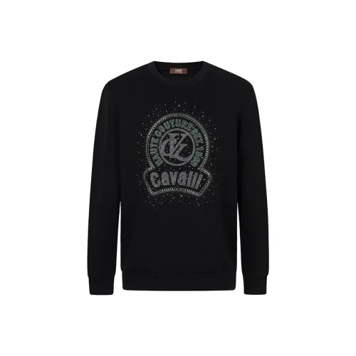 Cavalli Class Мужские Свитшоты