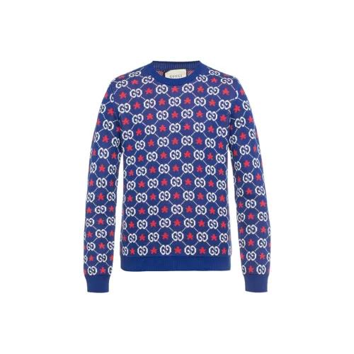 GUCCI Синий Мужской Свитера