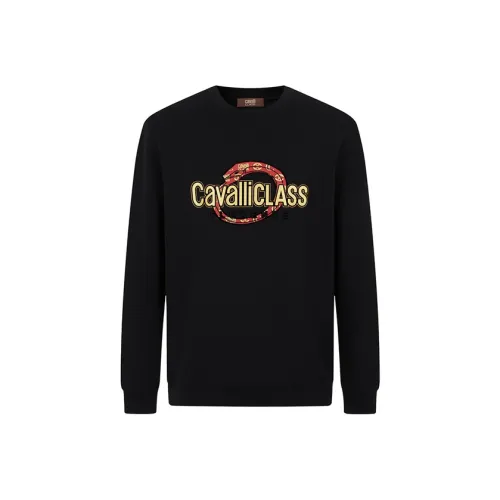 Cavalli Class Мужские Свитшоты