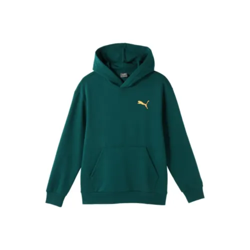 PUMA Рождественский зеленый Мужской Свитшот