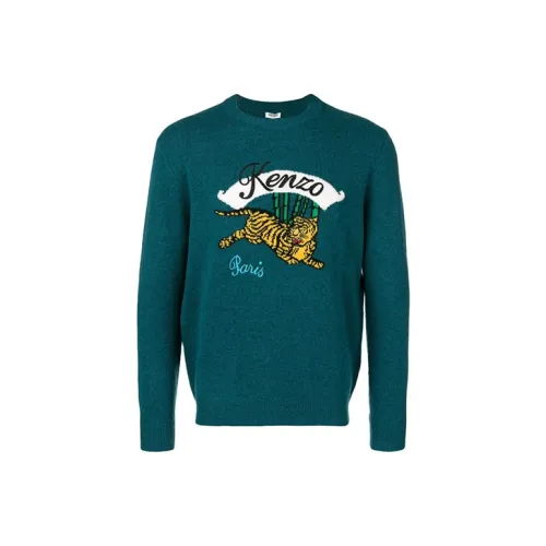 KENZO Зеленые Мужские Свитера