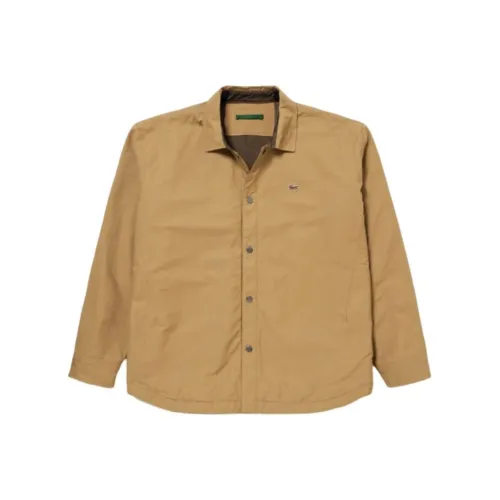 LACOSTE Collaboration Коричневые Мужские Рубашки