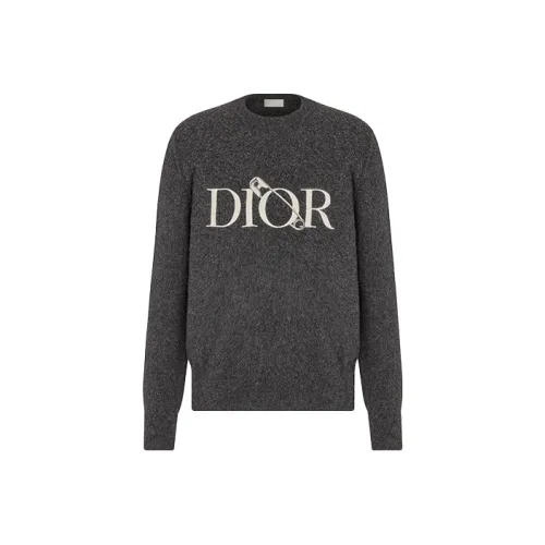 DIOR Quarterly New Products Темно-серые Мужские Свитера