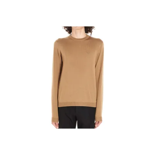 PRADA Коричневые Мужские Свитера