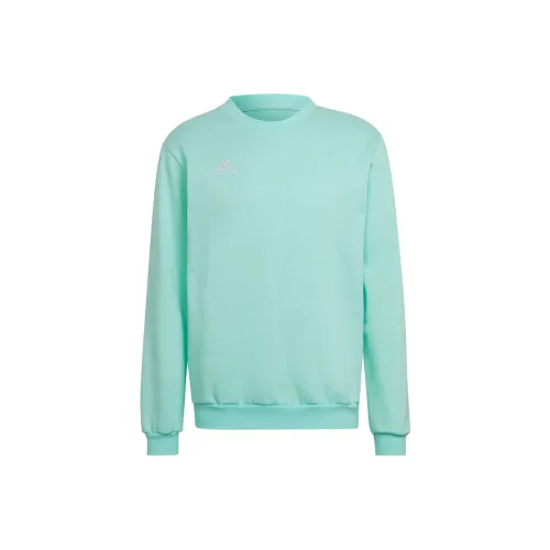 Adidas Entrada 22 Свитшот Унисекс Бирюзовый