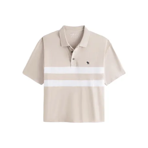 Abercrombie＆Fitch Поло Мужское Светло-хаки