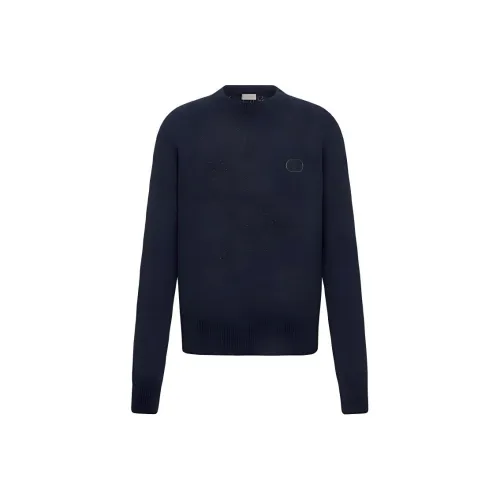 DIOR Quarterly New Products Синий Мужской Свитеры