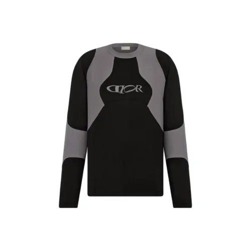 DIOR Черные Мужские Свитшоты