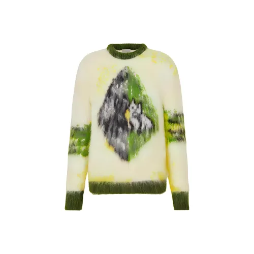 DIOR Quarterly New Products Зеленые Мужские Свитера