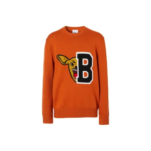Burberry Orange Men's Sweaters Burberry Апельсиновые Мужские Свитера