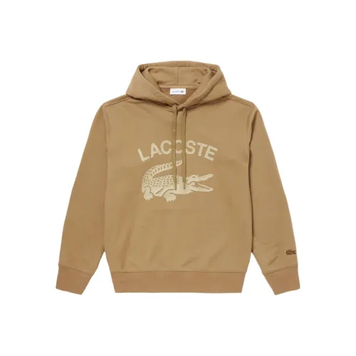 LACOSTE Collaboration Коричневый Мужской Свитшот