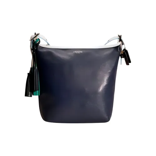 COACH Гладкая кожа Сумка через плечо Средняя Женская Темно-синий