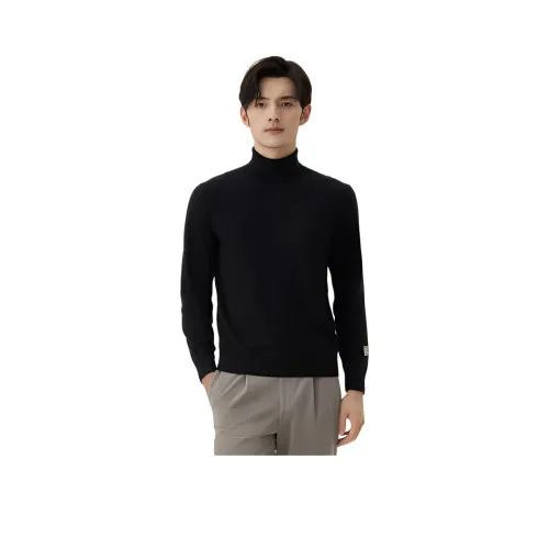 ZIOZIA Мужские Свитера