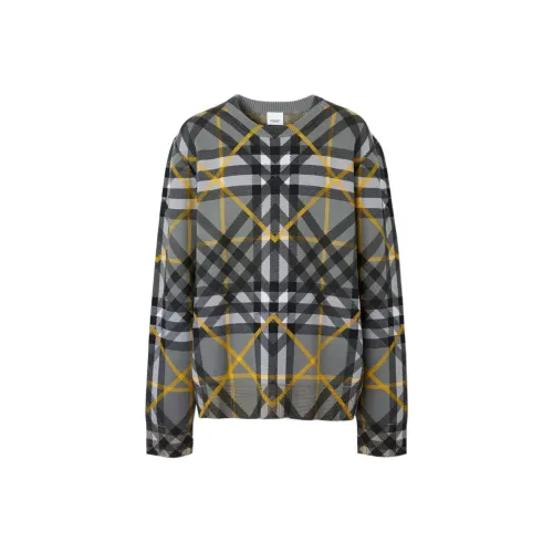 Burberry Мужские Свитера