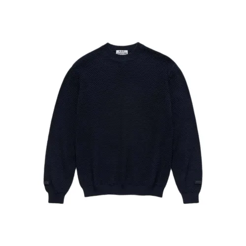 JJJJound A.P.C. Joint Paragraph Темно-синий Унисекс Свитеры