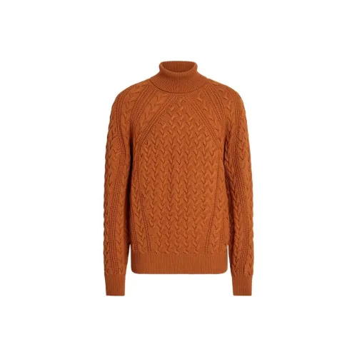 Ermenegildo Zegna CAMEL Мужские Свитера