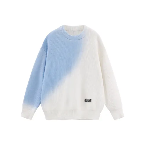 ICONS Lab Унисекс Свитера