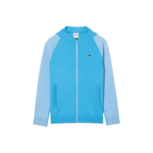 LACOSTE Мужские Синие Свитера