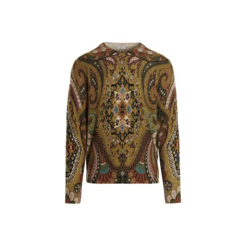 ETRO Коричневые Мужские Свитера