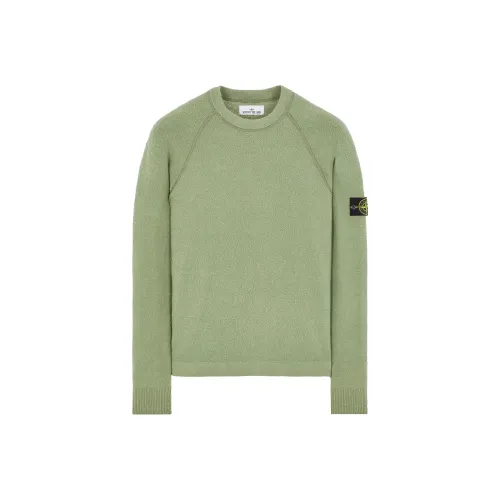 Stone Island Шалфейно-зеленый Мужские Свитера