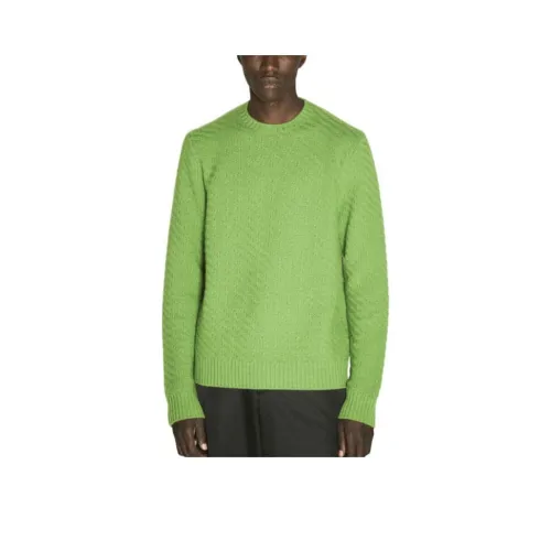 PRADA Зеленые Мужские Свитера