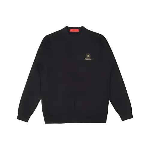 Raidy Boer Мужские Свитера