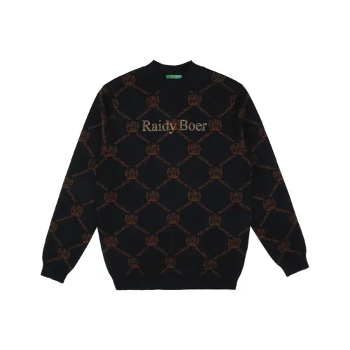 Raidy Boer Мужские Свитера