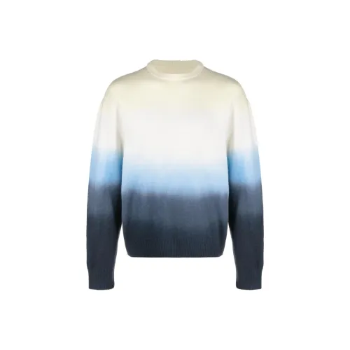 JIL SANDER Синие Мужские Свитера
