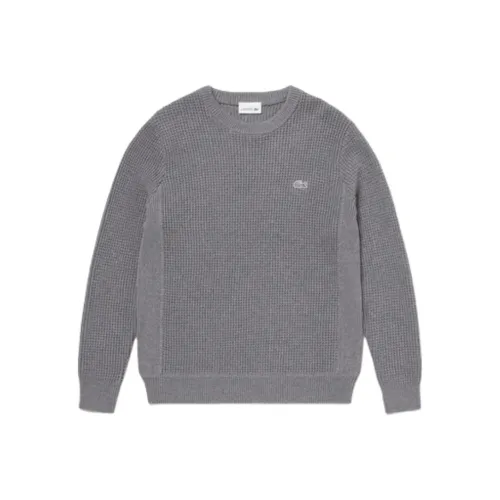 Свитеры для мужчин серого цвета с коллаборацией LACOSTE