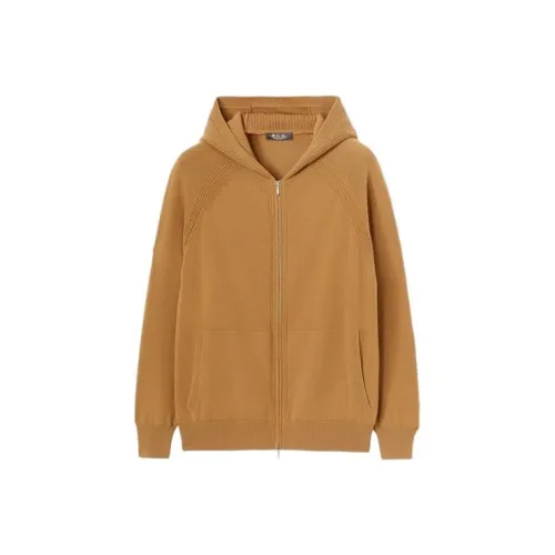Loro Piana Коричневые Мужские Свитера