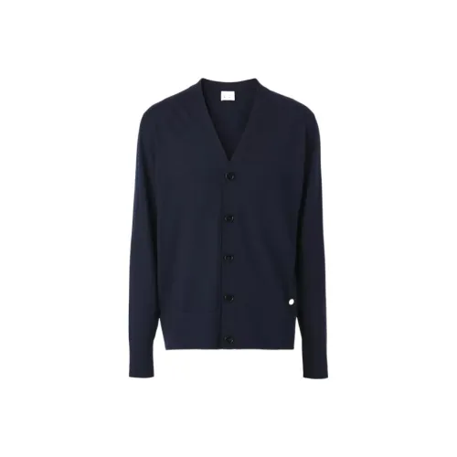 Burberry SS22 Трикотаж Мужской Морской Синий