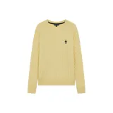 Светло-желтый