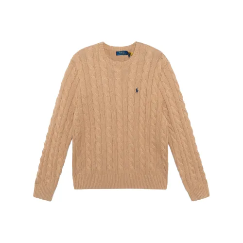 Polo Ralph Lauren Свитер Мужской Коричневый