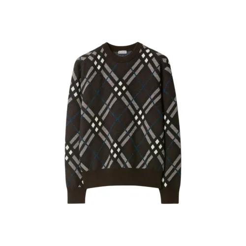 Burberry Коричневые Мужские Свитера
