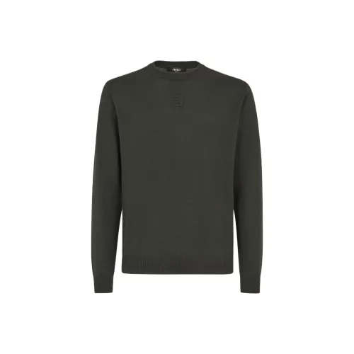 Fendi Зеленые Мужские Свитера