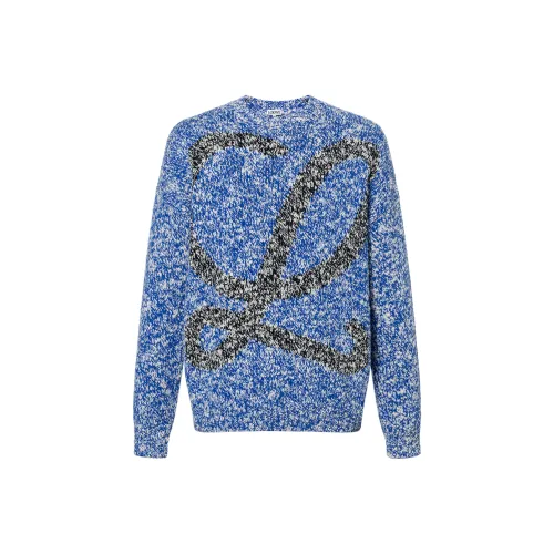 LOEWE Совместное издание Синий Мужской Свитеры