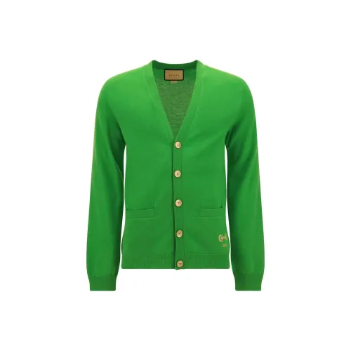 GUCCI Зеленые Мужские Свитера